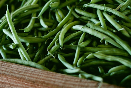 Image of Beans-Green/Wax